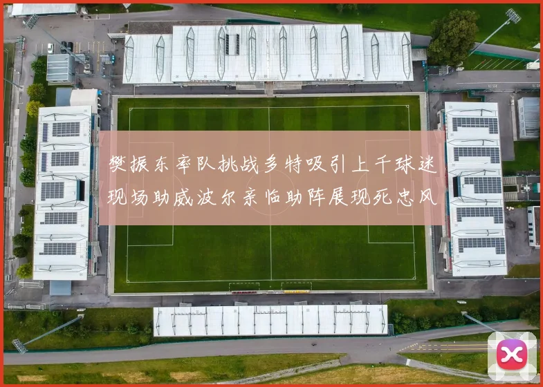 樊振东率队挑战多特吸引上千球迷现场助威波尔亲临助阵展现死忠风采