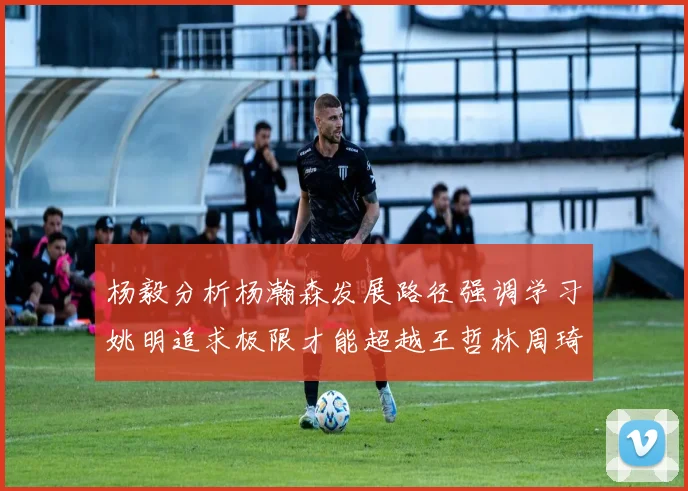 杨毅分析杨瀚森发展路径强调学习姚明追求极限才能超越王哲林周琦状态